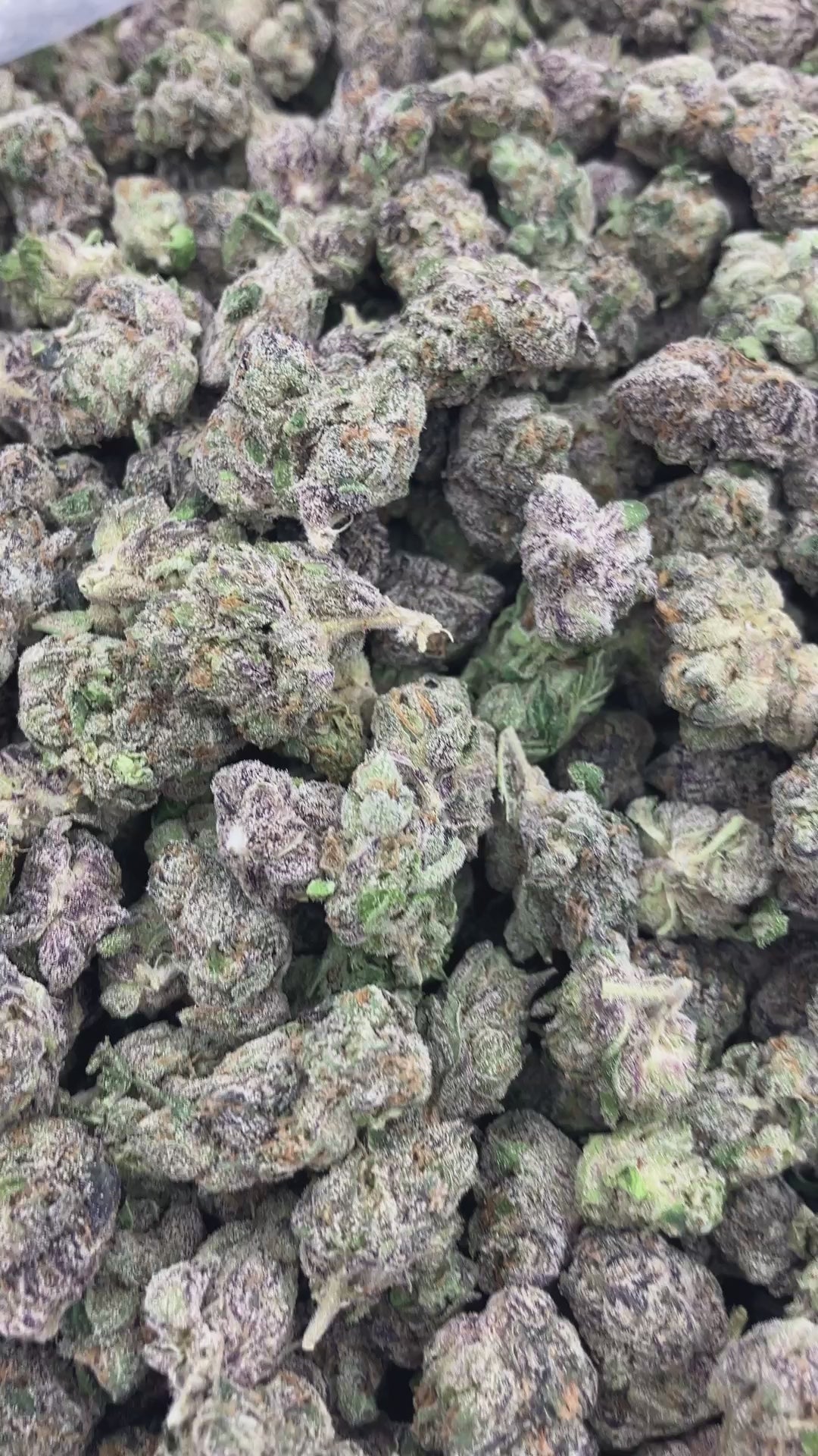 THCA FLOWER (Wedding Cake) - Smalls (Indica)