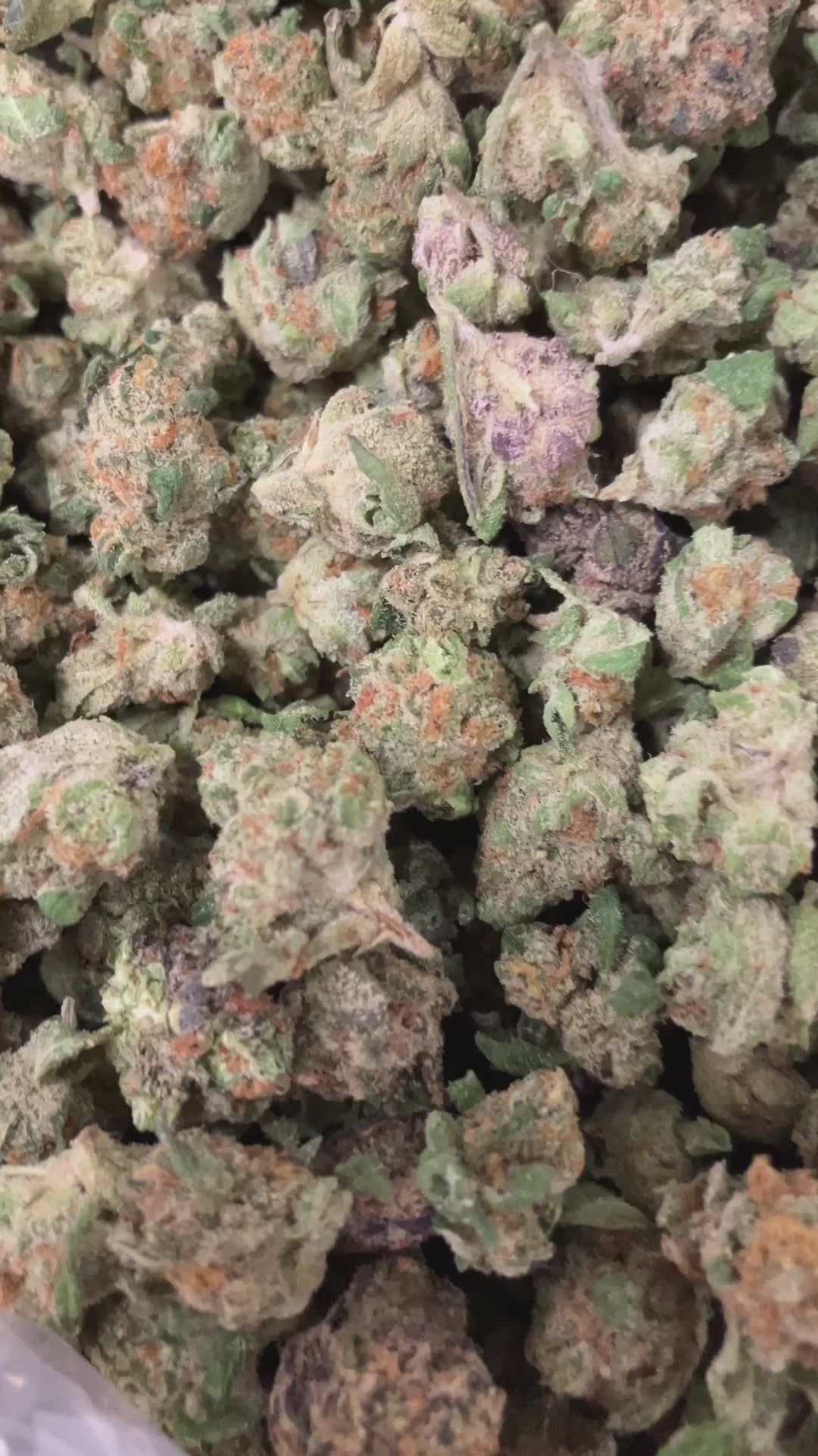 THCA FLOWER (OG 33) - Smalls (Indica)