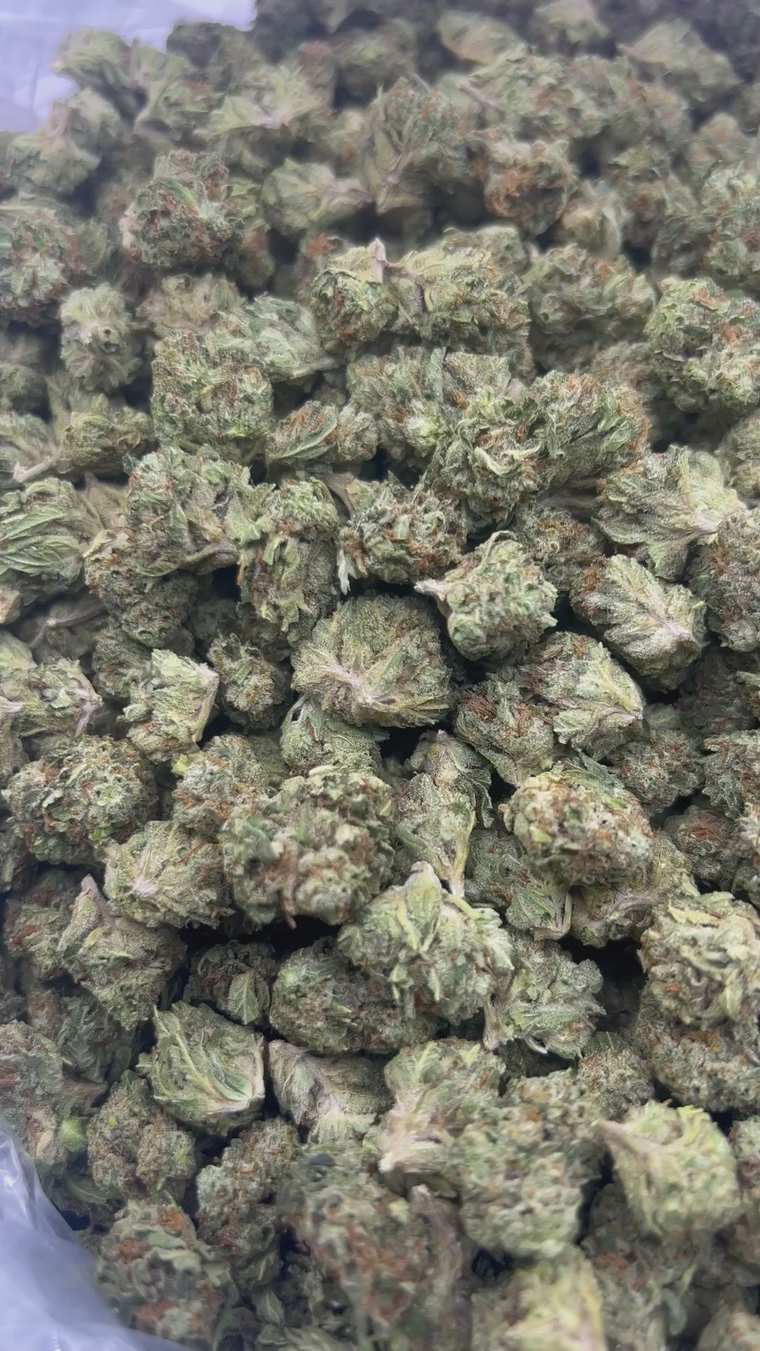 THCA FLOWER (Pineapple Express) - Smalls - (Sativa)