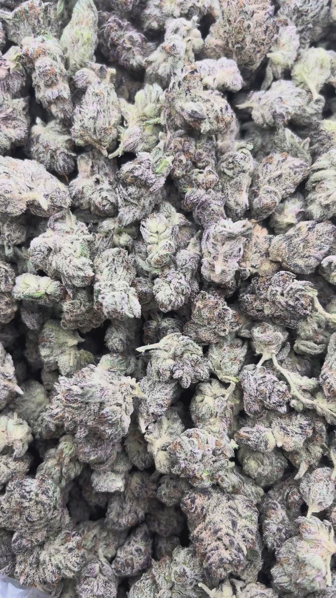 THCA FLOWER (Purple Hindu) - Smalls (Indica)