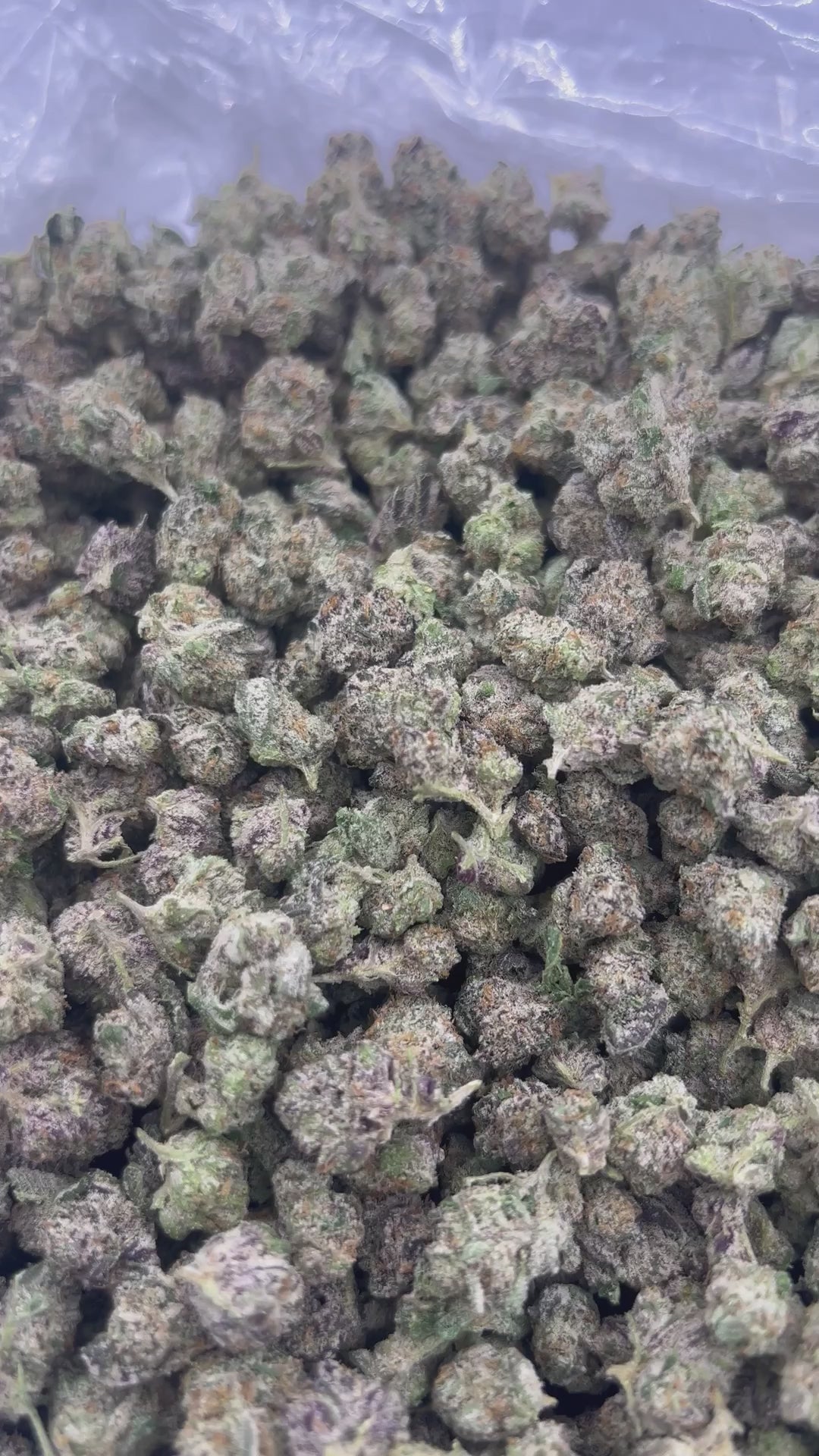 THCA FLOWER (Candy Runtz) - Smalls - (Hybrid)