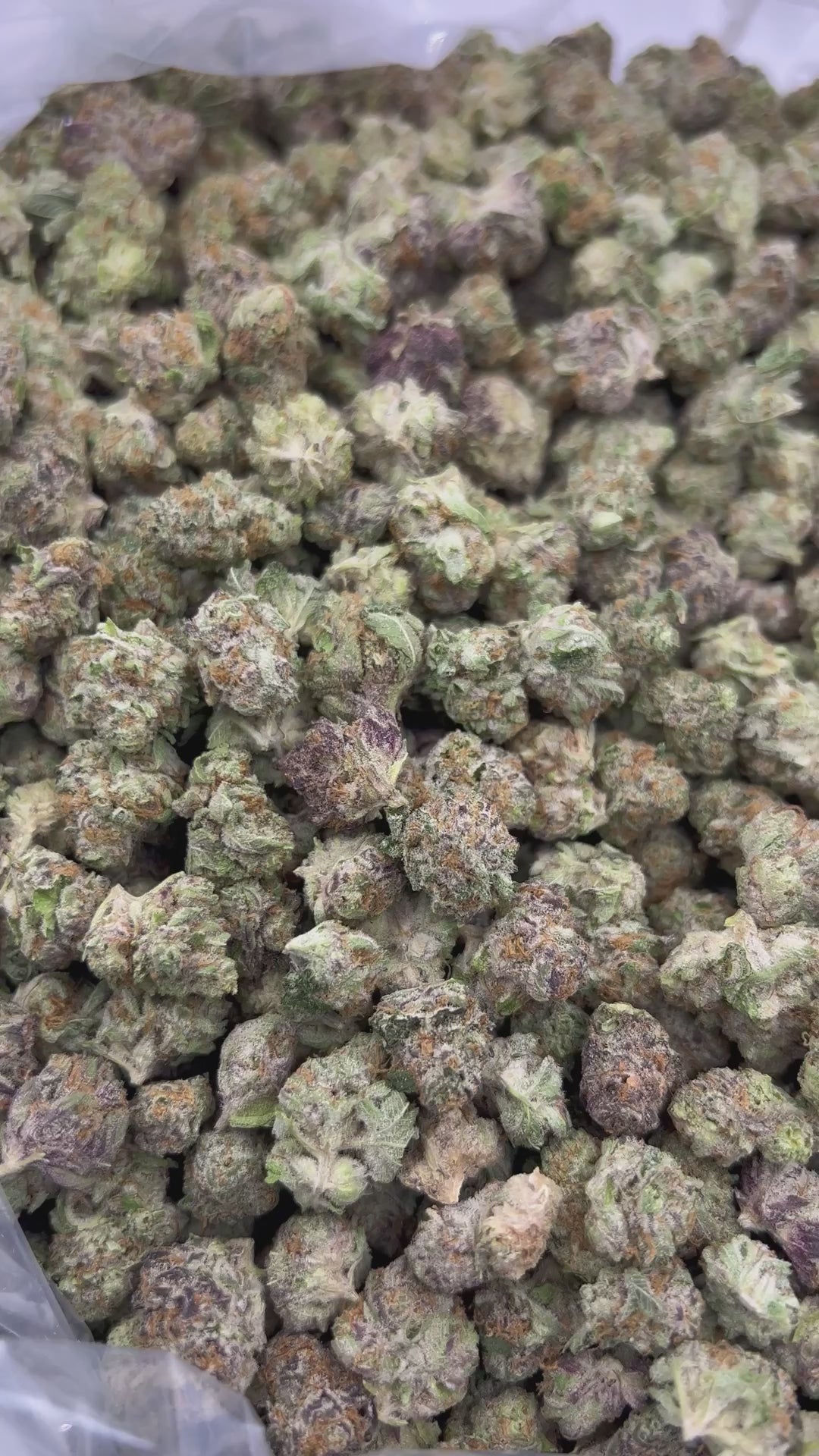 THCA FLOWER (Blueberry Muffins) - Smalls - (Indica)