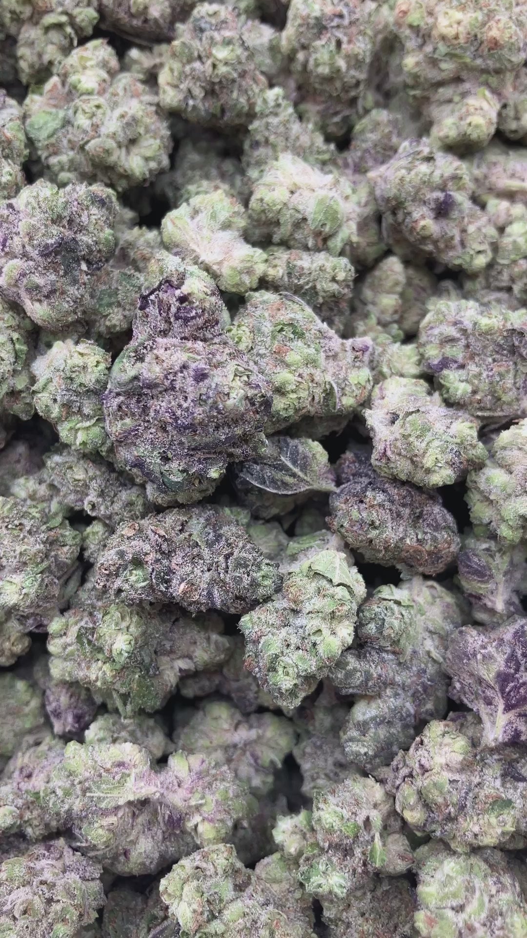 THCA FLOWER (Hashburger) - Smalls - (Indica)