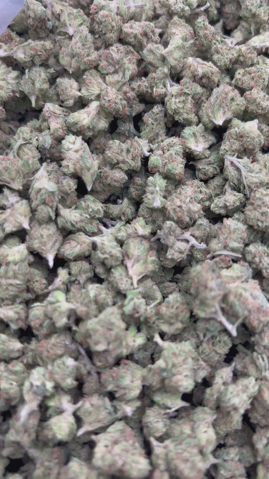 THCA FLOWER (Alien OG) - Smalls - (Indica)
