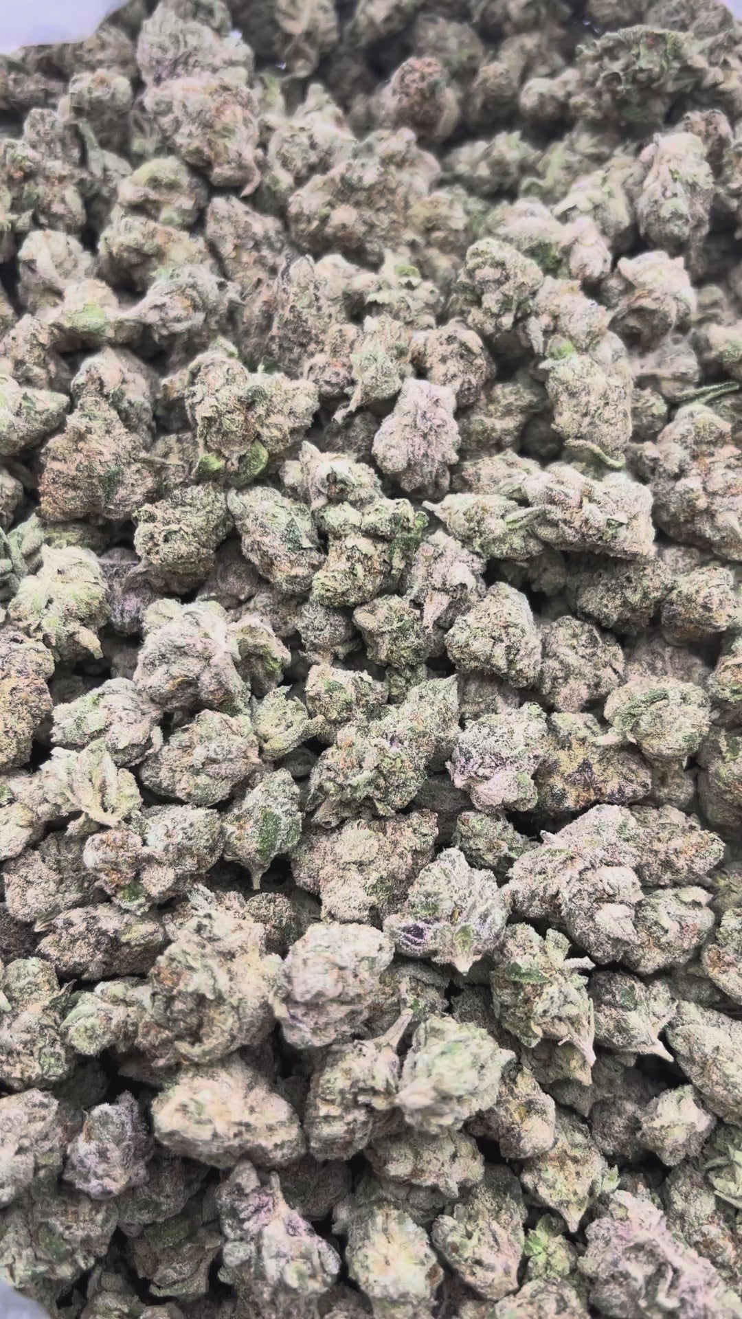 THCA FLOWER (Grape Zkittles) - Smalls (Hybrid)