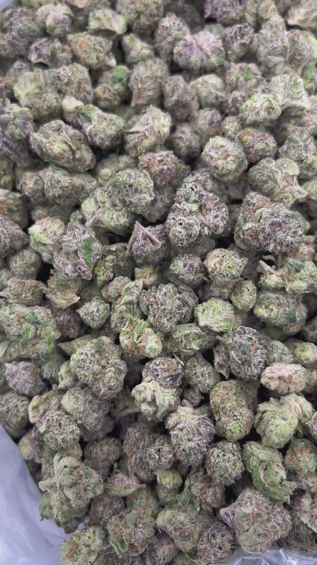 THCA FLOWER (Lemon Cherry Gelato) - Smalls - (Hybrid)