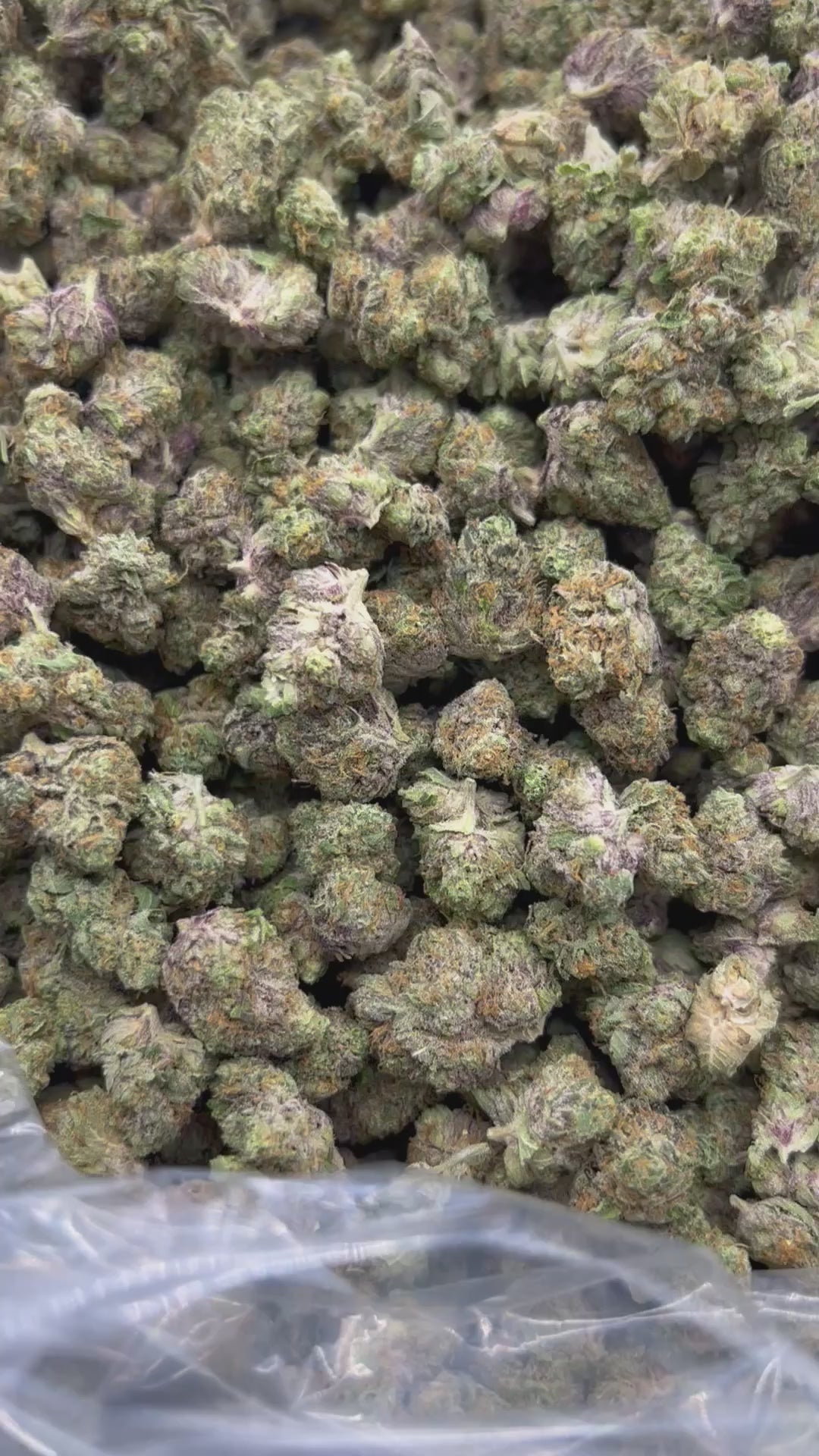 THCA FLOWER (Zlurpe) - Smalls - (Hybrid)